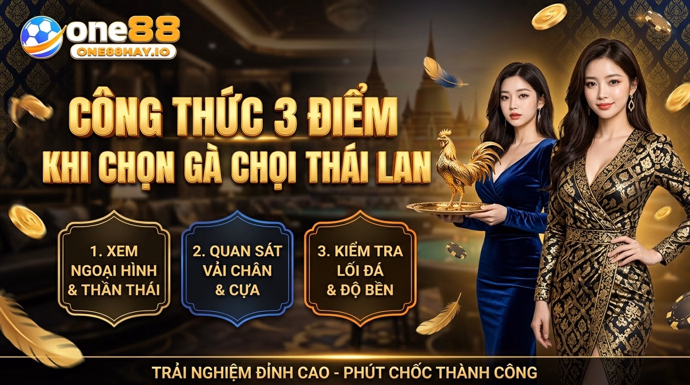 Công Thức Ba Cái Nhìn Khi Chọn Gà Đòn Thái Công Thức Ba Cái Nhìn Khi Chọn Gà Đòn Thái