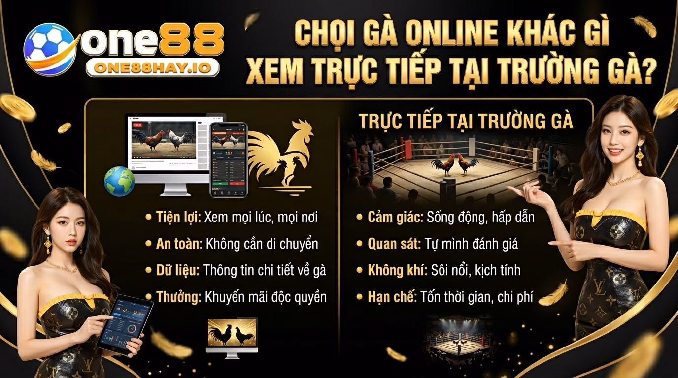 Đá Gà Mạng Khác Gì Với Việc Xem Trực Tiếp Ngoài Sân? Đá Gà Mạng Khác Gì Với Việc Xem Trực Tiếp Ngoài Sân?